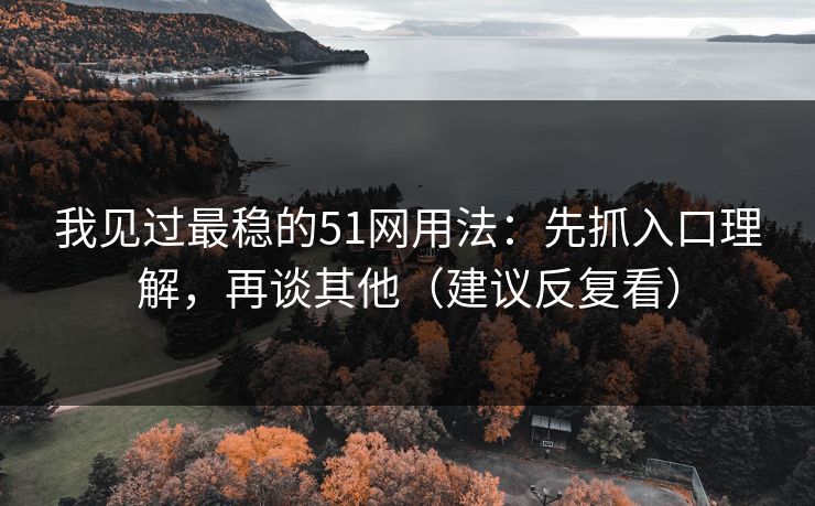 我见过最稳的51网用法:先抓入口理解,再谈其他(建议反复看)
